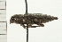  ( - 08MZPP-063)  @13 [ ] CreativeCommons - Attribution (2008) Unspecified Centre for Biodiversity Genomics