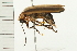  ( - 08MZPP-079)  @12 [ ] CreativeCommons - Attribution (2008) Unspecified Centre for Biodiversity Genomics