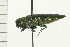  ( - 08MZPP-129)  @12 [ ] CreativeCommons - Attribution (2008) Unspecified Centre for Biodiversity Genomics