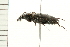  ( - 08SOCOL-0166)  @12 [ ] CreativeCommons - Attribution (2008) Unspecified Centre for Biodiversity Genomics
