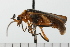  ( - COLP 0069.02)  @13 [ ] CreativeCommons - Attribution (2008) Unspecified Centre for Biodiversity Genomics