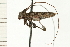  ( - COLP 0009.02)  @11 [ ] CreativeCommons - Attribution (2009) Unspecified Centre for Biodiversity Genomics