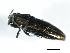  ( - 08BBCOL-0679)  @12 [ ] CreativeCommons - Attribution (2009) Unspecified Centre for Biodiversity Genomics