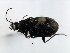  ( - 08SOCOL-0220)  @13 [ ] CreativeCommons - Attribution (2008) Unspecified Centre for Biodiversity Genomics