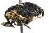  ( - 08SOCOL-0348)  @12 [ ] CreativeCommons - Attribution (2010) Unspecified Centre for Biodiversity Genomics