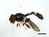  ( - 08BBDIP-0602)  @13 [ ] CreativeCommons - Attribution (2009) Unspecified Centre for Biodiversity Genomics
