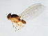  ( - 08BBDIP-0619)  @13 [ ] CreativeCommons - Attribution (2009) Unspecified Centre for Biodiversity Genomics
