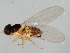  ( - 08BBDIP-0631)  @13 [ ] CreativeCommons - Attribution (2009) Unspecified Centre for Biodiversity Genomics