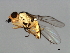  ( - 08BBDIP-0634)  @12 [ ] CreativeCommons - Attribution (2009) Unspecified Centre for Biodiversity Genomics