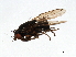  ( - 08BBDIP-0638)  @13 [ ] CreativeCommons - Attribution (2009) Unspecified Centre for Biodiversity Genomics