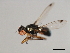  ( - 08BBDIP-0687)  @13 [ ] CreativeCommons - Attribution (2009) Unspecified Centre for Biodiversity Genomics