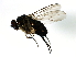  ( - 08BBDIP-1929)  @12 [ ] CreativeCommons - Attribution (2009) Unspecified Centre for Biodiversity Genomics
