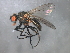  ( - 08BBDIP-2093)  @14 [ ] CreativeCommons - Attribution (2009) Unspecified Centre for Biodiversity Genomics