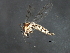  ( - 08BBDIP-2095)  @13 [ ] CreativeCommons - Attribution (2009) Unspecified Centre for Biodiversity Genomics