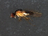  ( - 08BBDIP-2165)  @12 [ ] CreativeCommons - Attribution (2009) Unspecified Centre for Biodiversity Genomics