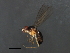  ( - 08BBDIP-2187)  @13 [ ] CreativeCommons - Attribution (2009) Unspecified Centre for Biodiversity Genomics