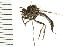  ( - HLC-24319)  @12 [ ] CreativeCommons - Attribution (2009) Unspecified Centre for Biodiversity Genomics