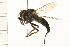  ( - DIPT 0044.02)  @13 [ ] CreativeCommons - Attribution (2008) Unspecified Centre for Biodiversity Genomics