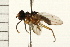 ( - DIPT 0045.02)  @13 [ ] CreativeCommons - Attribution (2008) Unspecified Centre for Biodiversity Genomics