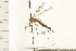  ( - DIPT 0048.02)  @13 [ ] CreativeCommons - Attribution (2008) Unspecified Centre for Biodiversity Genomics