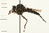  ( - DIPT 0138.02)  @12 [ ] CreativeCommons - Attribution (2008) Unspecified Centre for Biodiversity Genomics