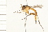  ( - DIPT 0144.02)  @14 [ ] CreativeCommons - Attribution (2008) Unspecified Centre for Biodiversity Genomics