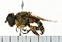  ( - 08FAYTT-0004)  @14 [ ] CreativeCommons - Attribution (2009) Unspecified Centre for Biodiversity Genomics