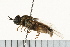  ( - 08FAYTT-0006)  @12 [ ] CreativeCommons - Attribution (2009) Unspecified Centre for Biodiversity Genomics
