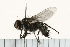  ( - 08FAYTT-0007)  @12 [ ] CreativeCommons - Attribution (2009) Unspecified Centre for Biodiversity Genomics