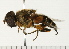  ( - 08FAYTT-0023)  @14 [ ] CreativeCommons - Attribution (2009) Unspecified Centre for Biodiversity Genomics