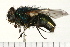  ( - 08FAYTT-0029)  @13 [ ] CreativeCommons - Attribution (2009) Unspecified Centre for Biodiversity Genomics