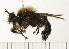  ( - 08FAYTT-0056)  @13 [ ] CreativeCommons - Attribution (2009) Unspecified Centre for Biodiversity Genomics