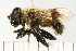  ( - 08FAYTT-0058)  @13 [ ] CreativeCommons - Attribution (2009) Unspecified Centre for Biodiversity Genomics