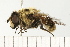  ( - 08FAYTT-0059)  @13 [ ] CreativeCommons - Attribution (2009) Unspecified Centre for Biodiversity Genomics