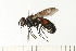  ( - 08FAYTT-0063)  @13 [ ] CreativeCommons - Attribution (2009) Unspecified Centre for Biodiversity Genomics
