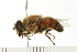  ( - 08FAYTT-0065)  @14 [ ] CreativeCommons - Attribution (2009) Unspecified Centre for Biodiversity Genomics