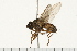  ( - 08FAYTT-0082)  @13 [ ] CreativeCommons - Attribution (2009) Unspecified Centre for Biodiversity Genomics
