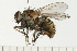  ( - 08FAYTT-0087)  @14 [ ] CreativeCommons - Attribution (2009) Unspecified Centre for Biodiversity Genomics