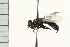  ( - DIPT 0167.02)  @12 [ ] CreativeCommons - Attribution (2009) Unspecified Centre for Biodiversity Genomics