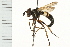  ( - DIPT 0170.02)  @13 [ ] CreativeCommons - Attribution (2009) Unspecified Centre for Biodiversity Genomics
