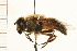  ( - HLC-17744)  @14 [ ] CreativeCommons - Attribution (2009) Unspecified Centre for Biodiversity Genomics