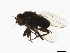  ( - 08BBDIP-0839)  @13 [ ] CreativeCommons - Attribution (2009) Unspecified Centre for Biodiversity Genomics