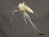  ( - 08BBDIP-1895)  @13 [ ] CreativeCommons - Attribution (2009) Unspecified Centre for Biodiversity Genomics