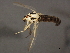  ( - 08BBDIP-1906)  @12 [ ] CreativeCommons - Attribution (2009) Unspecified Centre for Biodiversity Genomics