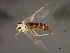  ( - 08BBDIP-1908)  @12 [ ] CreativeCommons - Attribution (2009) Unspecified Centre for Biodiversity Genomics