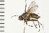  ( - 08BBDIP-0075)  @13 [ ] CreativeCommons - Attribution (2008) Unspecified Centre for Biodiversity Genomics