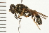  ( - 08BBDIP-0091)  @13 [ ] CreativeCommons - Attribution (2008) Unspecified Centre for Biodiversity Genomics