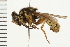  ( - 08BBDIP-0106)  @11 [ ] CreativeCommons - Attribution (2008) Unspecified Centre for Biodiversity Genomics