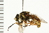  ( - 08BBDIP-0109)  @11 [ ] CreativeCommons - Attribution (2008) Unspecified Centre for Biodiversity Genomics