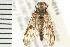  ( - 08BBDIP-0114)  @13 [ ] CreativeCommons - Attribution (2008) Unspecified Centre for Biodiversity Genomics